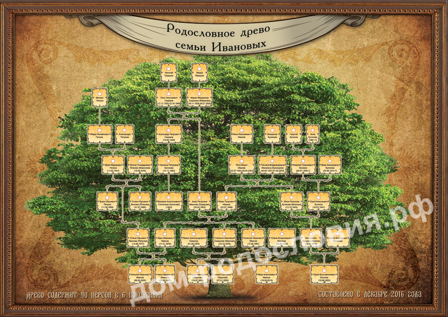 Пример генеалогического древа семьи. Родословное Древо. Фамильное дерево. Родословная дерево. Генеалогическое Древо семьи.